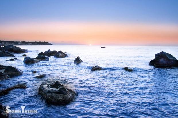 10643094_10204116578222199_1808915318_o