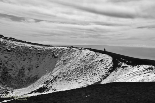 1538880_523859781045919_245451203_n